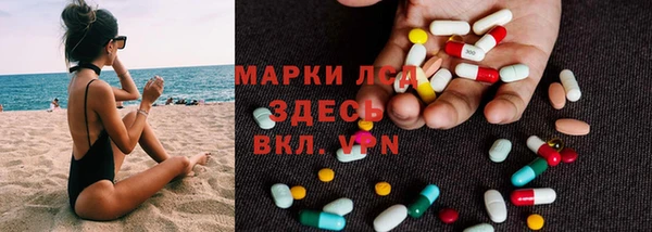 гидра Аркадак