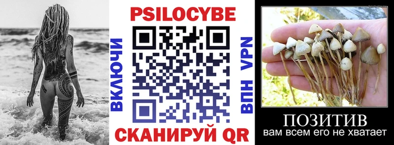 купить закладку Севастополь Псилоцибиновые грибы ЛСД