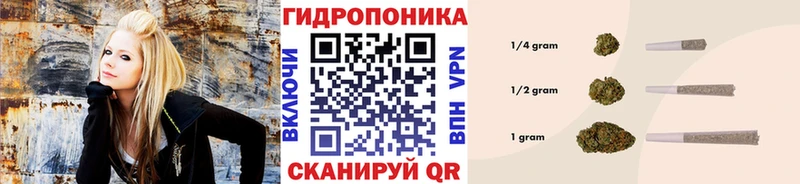 МАРИХУАНА конопля  Севастополь 
